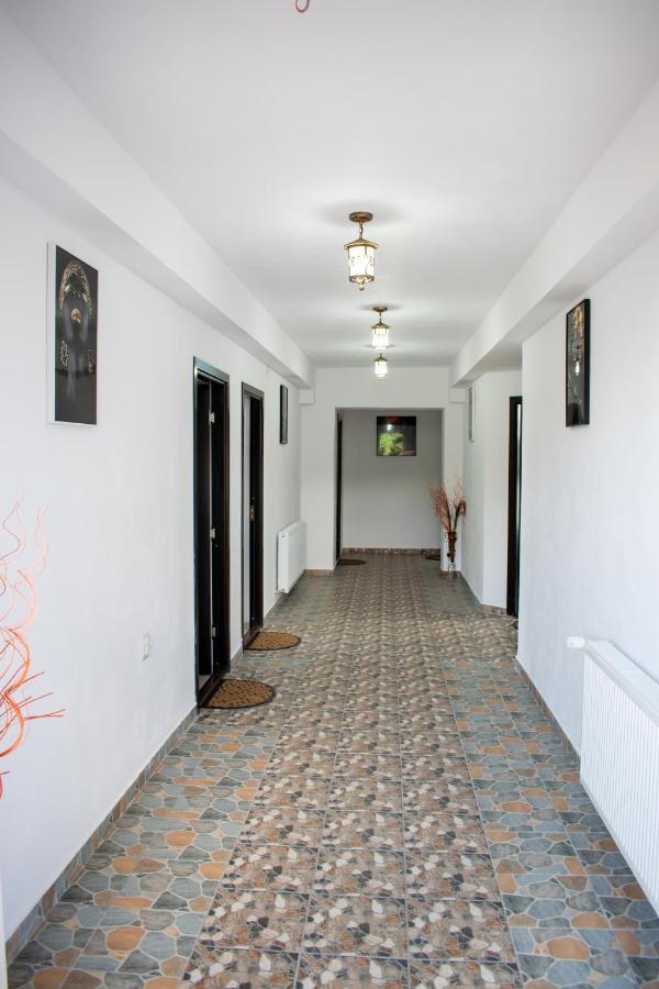 Готель Casa Nevada Куртя-де-Арджеш Екстер'єр фото