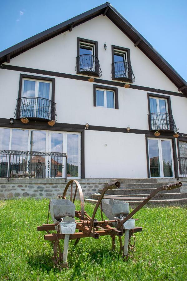 Готель Casa Nevada Куртя-де-Арджеш Екстер'єр фото