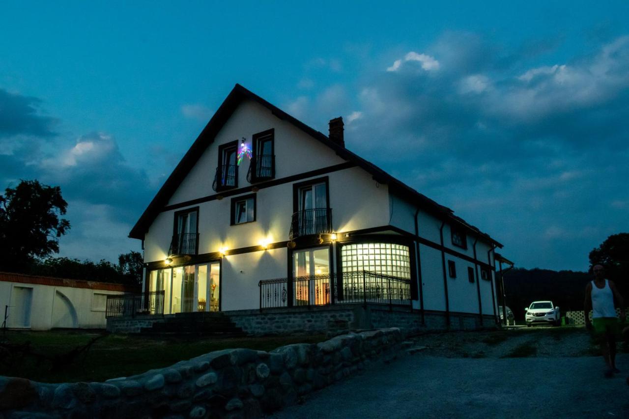Готель Casa Nevada Куртя-де-Арджеш Екстер'єр фото